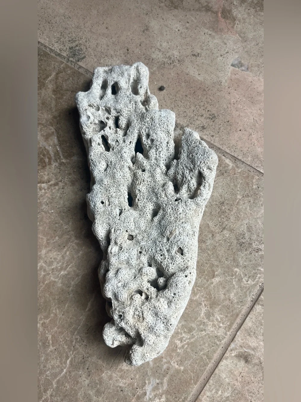 Natural coral info pacific
